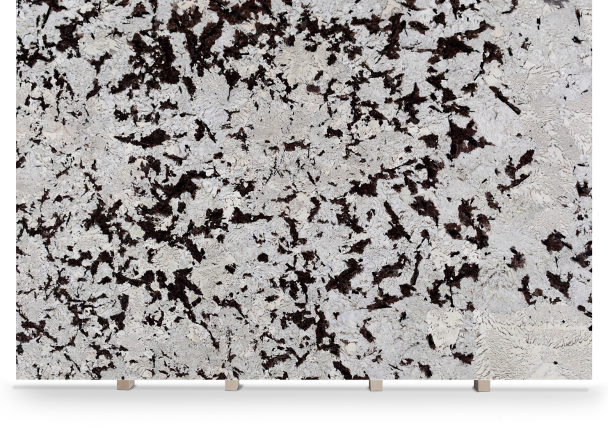 Splendor White _ chapa cavalete